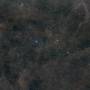 iris2darkshark_105_405_7stunden_20270622.jpg