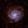 m101_sn_lrgb_c8_20230527.jpeg